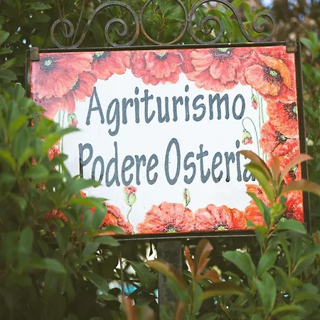 Holiday home Well-equipped In Ospedaletto Italy With Private Pool